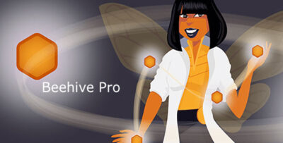 Beehive Pro v3.5.3 - WordPress Plugin
